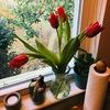 paulscloset88